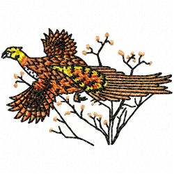 Various Birds Embroidery Design 11